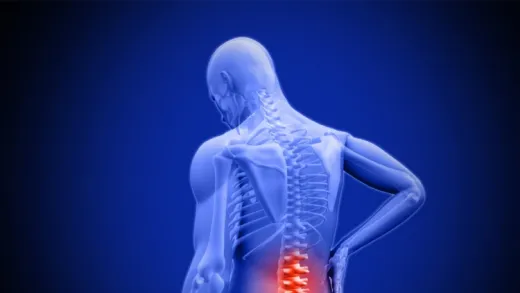 Learn How You Can Heal Your Low Back Pain