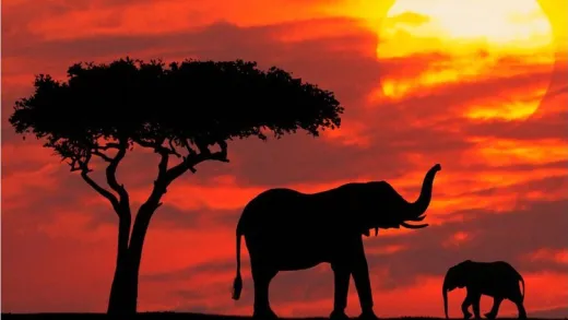 Learn to speak Swahili