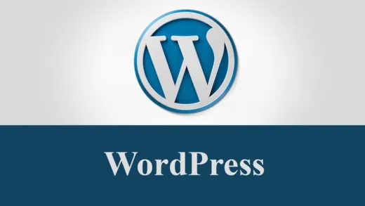 تطويرمواقع ويب إحترافية بإستخدام نظام وورد برس