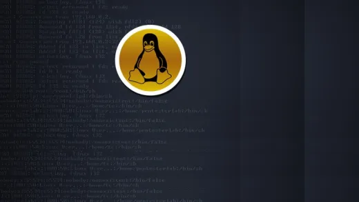 Unix with Scripting for Newbies