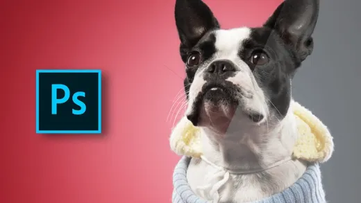 Adobe Photoshop Animal Retouching