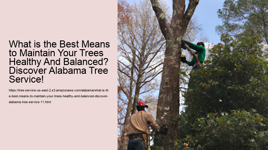 What is the Best Means to Maintain Your Trees Healthy And Balanced? Discover Alabama Tree Service!
