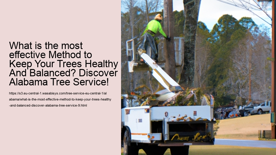 What is the most effective Method to Keep Your Trees Healthy And Balanced? Discover Alabama Tree Service!