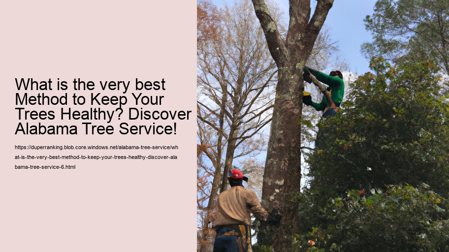 What is the very best Method to Keep Your Trees Healthy? Discover Alabama Tree Service!
