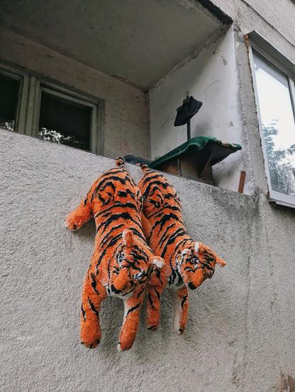 Two stuffed tiger toys hang over the edge of a balcony in a Soviet-era apartment building. Their bright orange-and-black striped bodies contrast with the weathered concrete, peeling plaster, old windows, and improvised objects around them. The worn residential setting gives the playful toys an unexpectedly surreal presence.