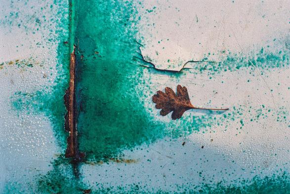 A close-up view of the hood of an old car, its once-painted surface now heavily weathered and partially eaten away by rust. Patches of turquoise paint, exposed metal, corrosion, scratches, and peeling layers create an almost abstract pattern across the surface. A small dried leaf rests on the hood, adding a fragile organic element to the heavily textured, decaying metal.
