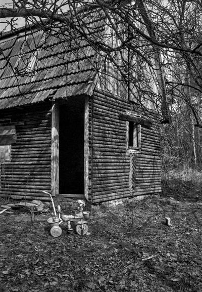 A black-and-white photograph of an old wooden cabin standing in a neglected, overgrown clearing. Its weathered log walls and worn corrugated roof are partly obscured by a dense web of bare tree branches stretching across the upper part of the frame. The doorway is empty, with no door, opening onto a pitch-black interior, while a small window punctuates the side wall. On the leaf-strewn ground in front of the entrance sits an abandoned child's tricycle, its worn frame adding to the sense of a place left behind. Harsh sunlight filters through the branches, casting intricate shadows across the cabin and the uneven ground. The grainy monochrome tones, stark contrasts, and tangled vegetation lend the scene a desolate, slightly haunting atmosphere, as if time has quietly stopped here.