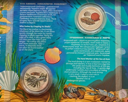 Монети