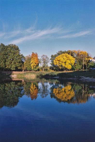 Golden-yellow and rusty-orange autumn trees line the opposite bank of a pond, their vivid colours reflected in the still blue water. The reflections shimmer gently across the surface, blending the foliage with the deep blue of the pond. Wispy white clouds stretch across the pale blue sky above the tree line. The low, warm sunlight illuminates the colourful leaves