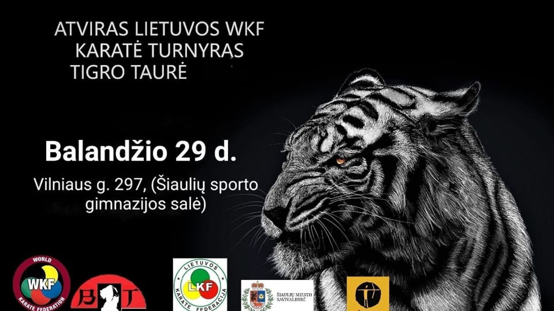 Tatami 2 | Lietuvos WKF karatė turnyras „TIGRO TAURĖ 2023"