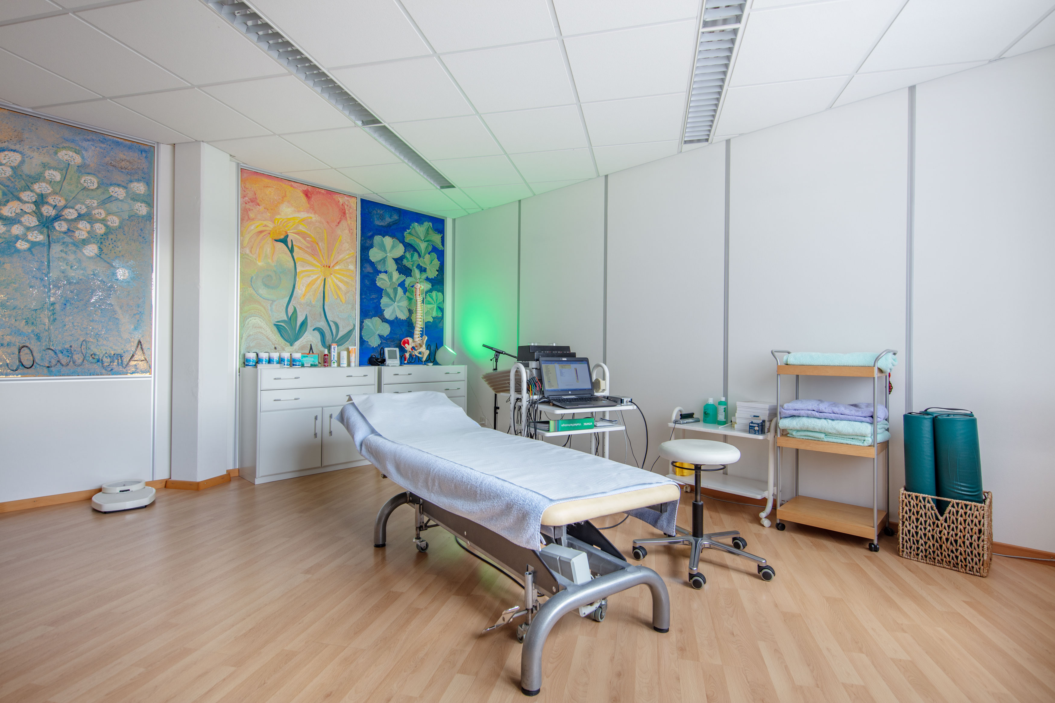 Das Global Diagnostics Messgerät mit Therapiestation
