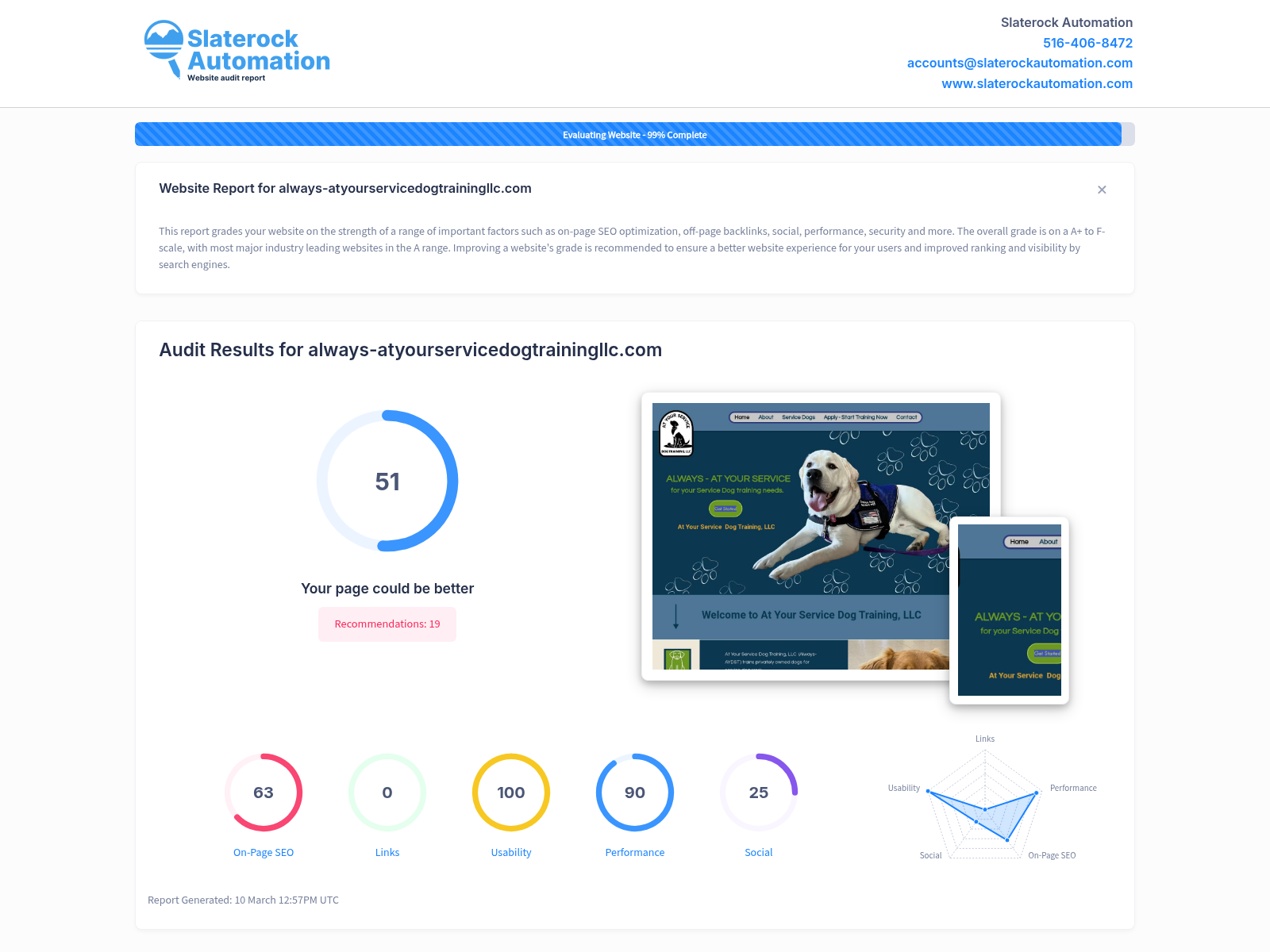Screenshot of a website audit for Always at Your Service Dog Training LLC showing key performance indicators and site optimization areas.