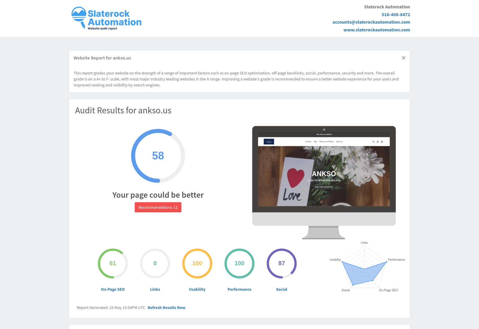 Screenshot of Ankso's website audit showcasing its user-friendly design and product variety.