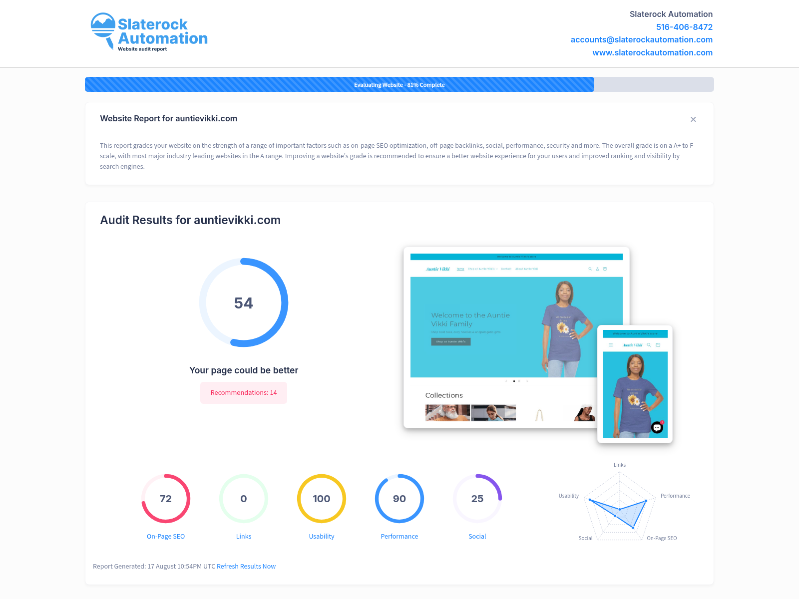 Screenshot of Auntie Vikki's website audit showcasing user-friendly design and SEO performance.