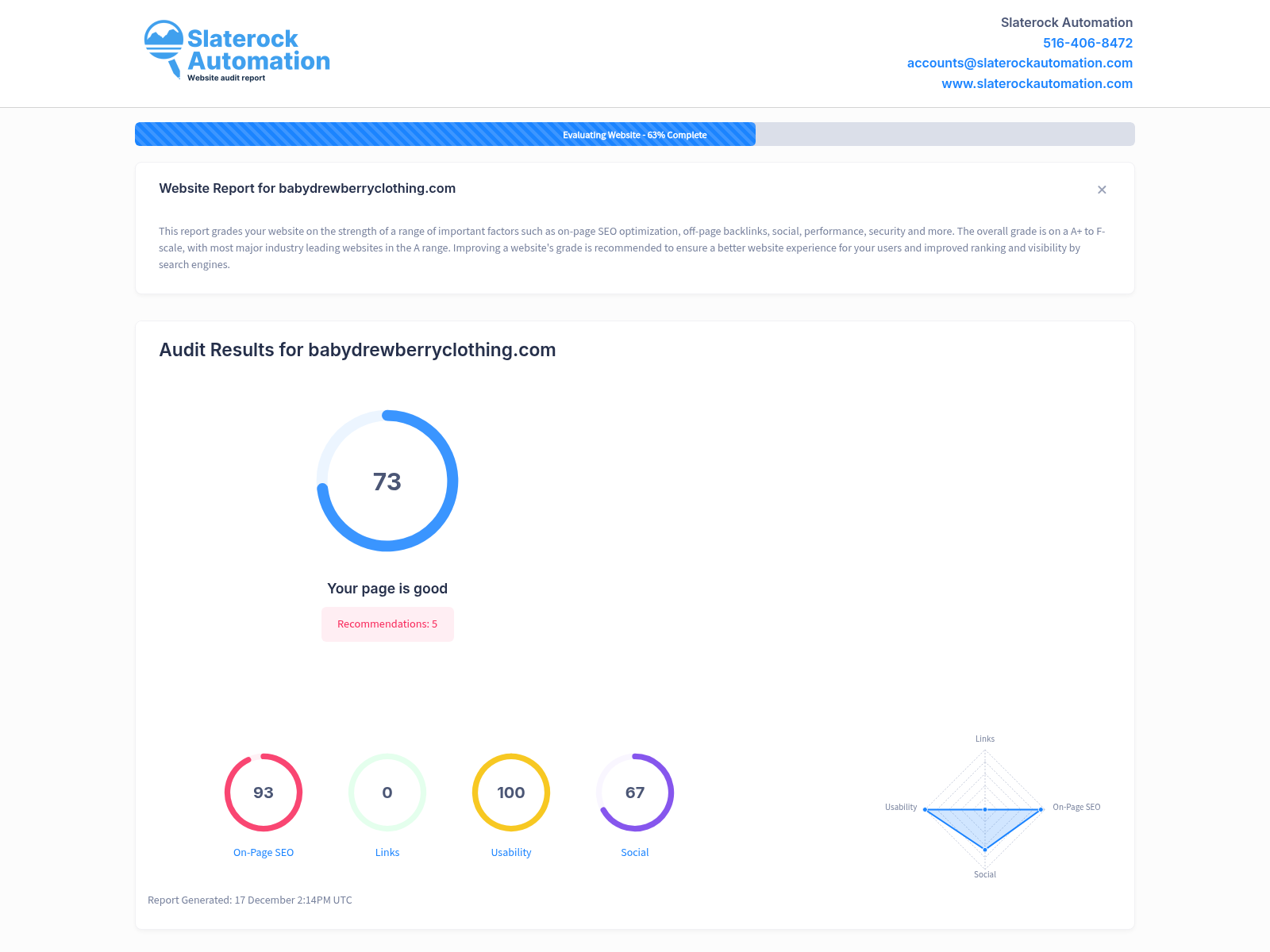 Screenshot of Baby Drewberry Clothing website audit displaying site performance and SEO metrics.