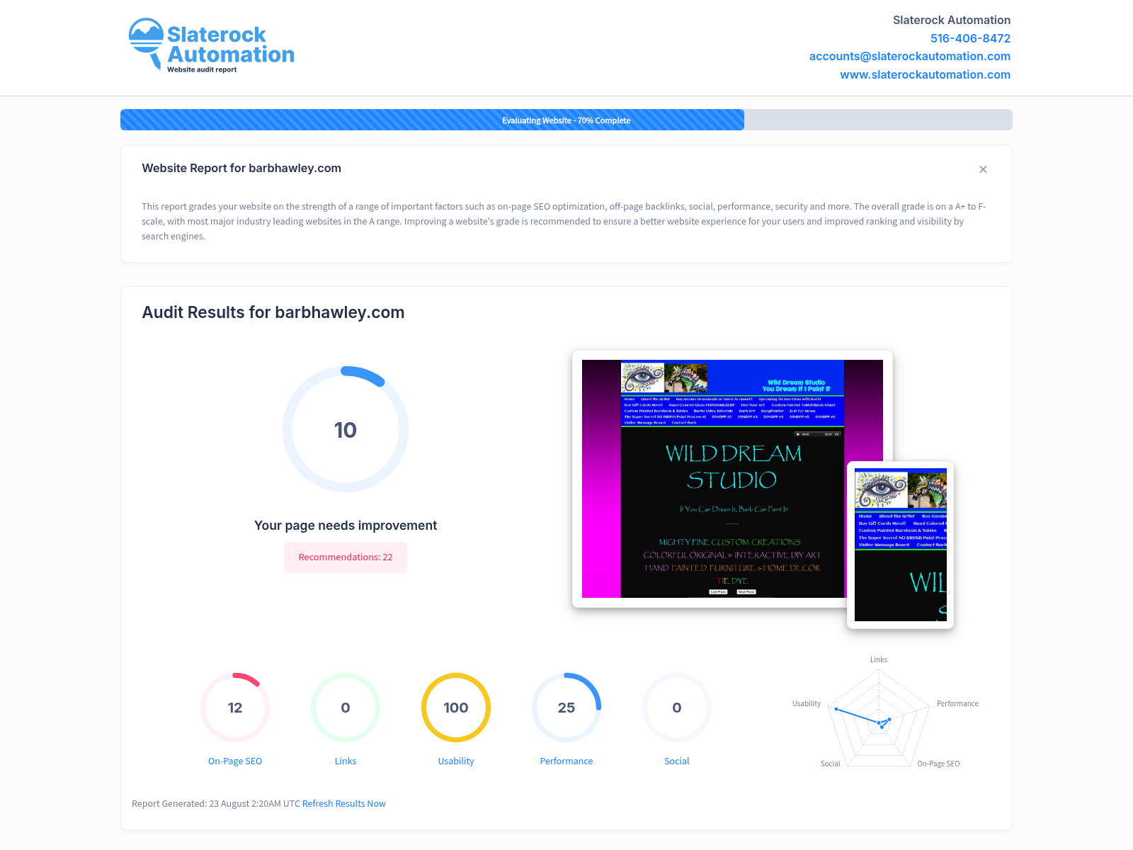 Screenshot of Wild Dream Studio's website audit showing SEO performance and optimization for Barb Hawley's creative services.