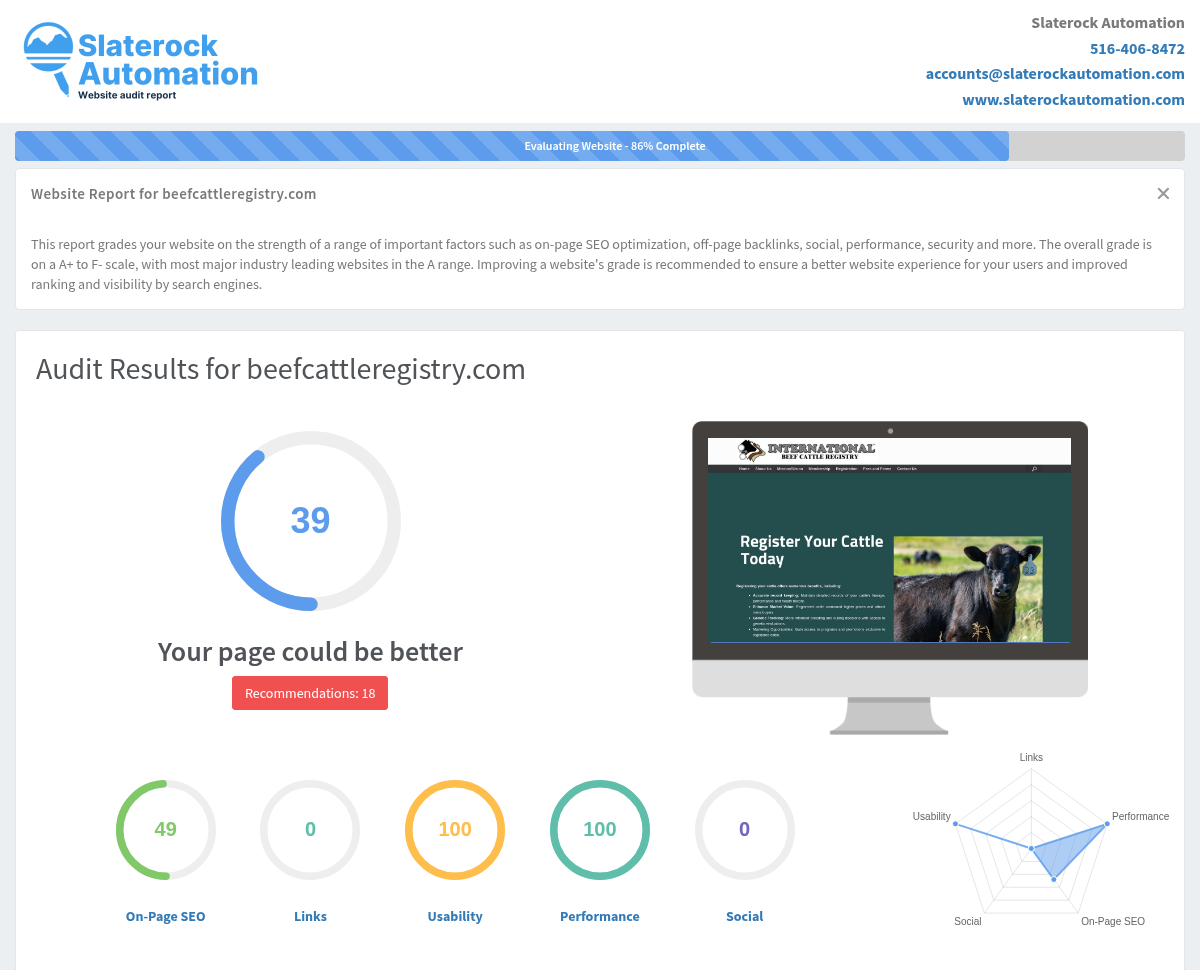 Screenshot of the International Beef Cattle Registry website audit showcasing performance metrics and SEO insights.