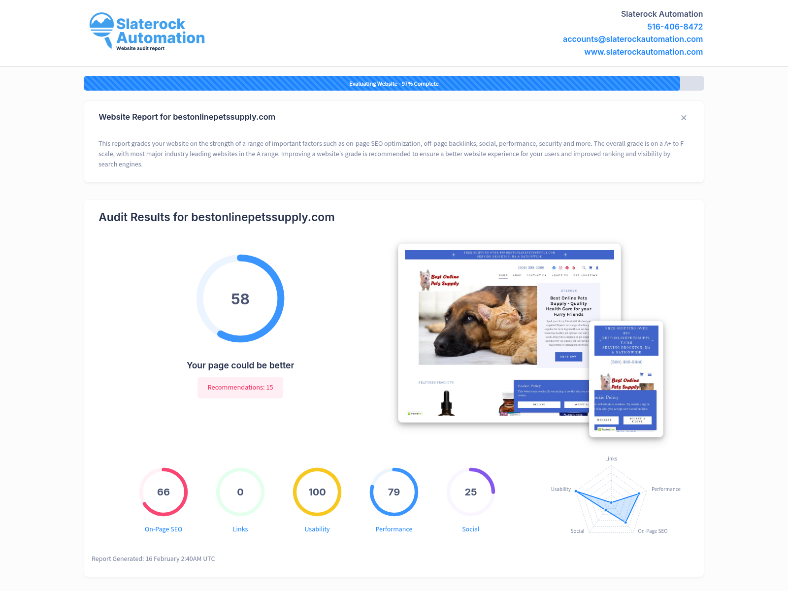 Screenshot of a website audit for Best Online Pets Supply showcasing site performance and user experience.