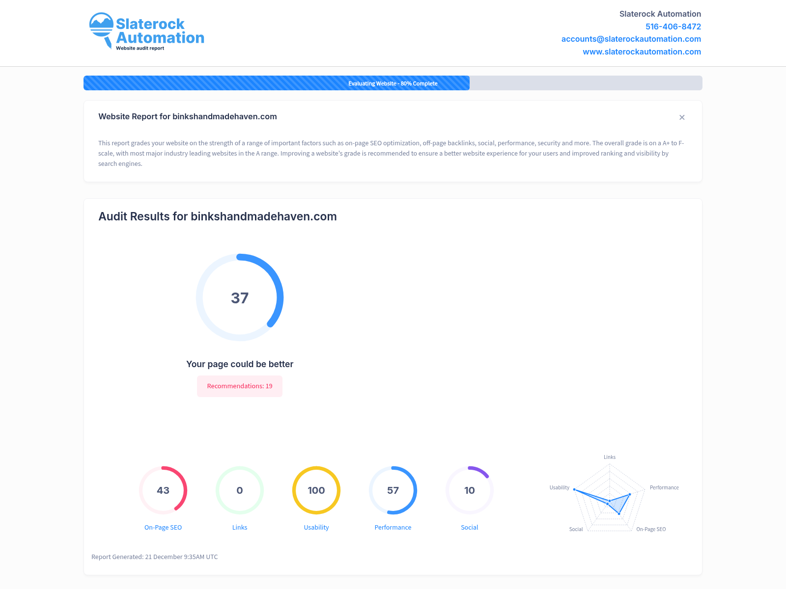 Screenshot of Binks Handmade Haven website audit showcasing impressive reviews and products.