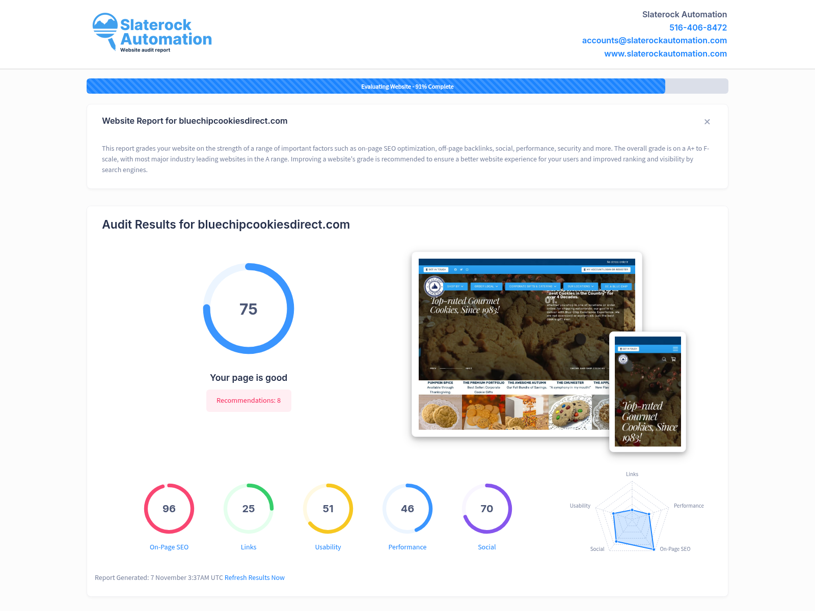 Screenshot of a website audit report for Blue Chip Cookies Direct, showcasing user engagement and SEO performance metrics.