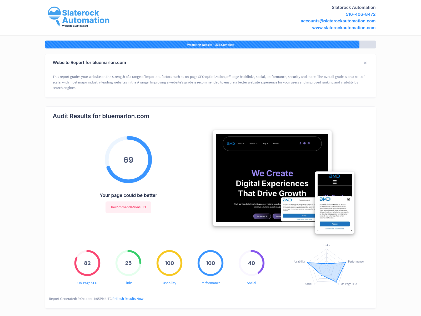 Screenshot of Blue Marlon website audit showcasing SEO and performance metrics.