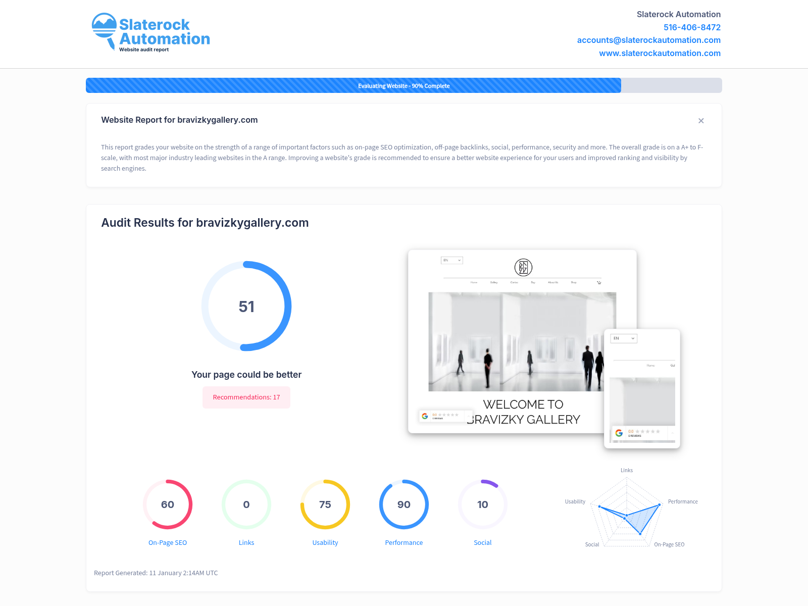 Screenshot of a website audit showing Bravizky Gallery's performance metrics and optimization insights.