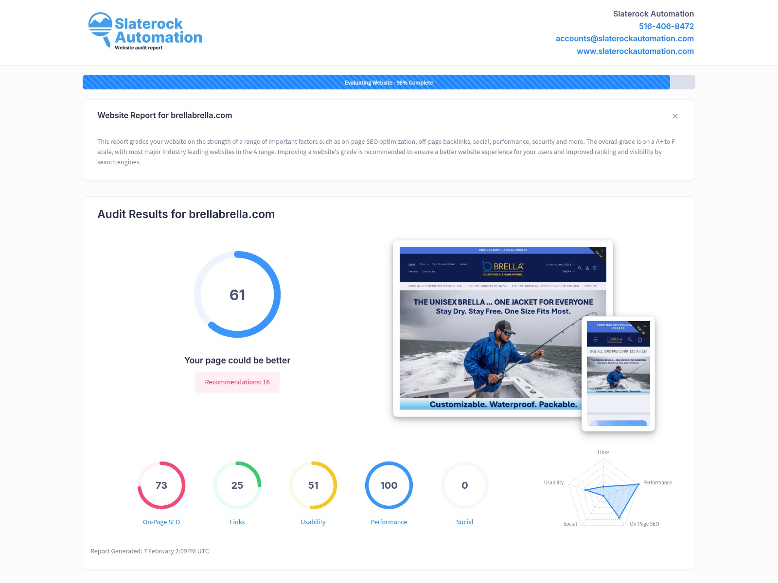 Screenshot of BrellaBrella's website audit showing strong performance metrics and user-friendly design.