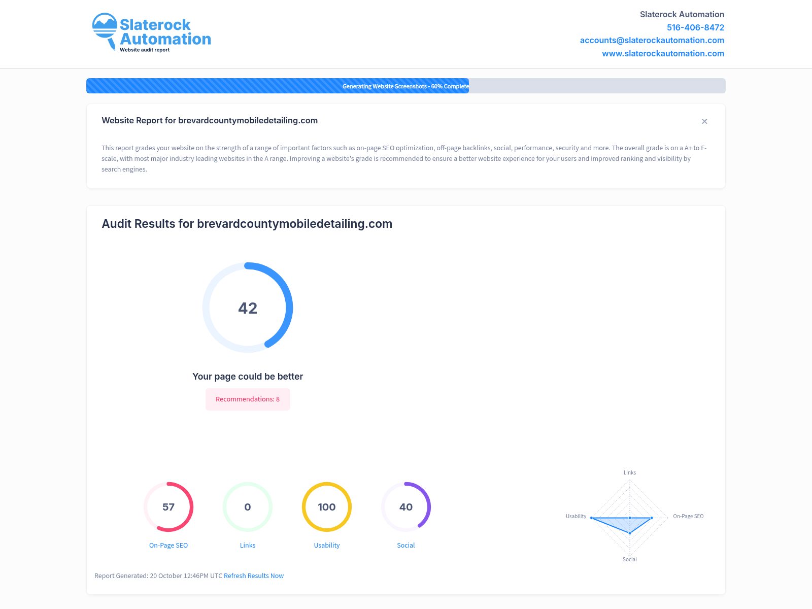 Screenshot of a website audit for Brevard County Mobile Detailing showcasing performance and optimization.