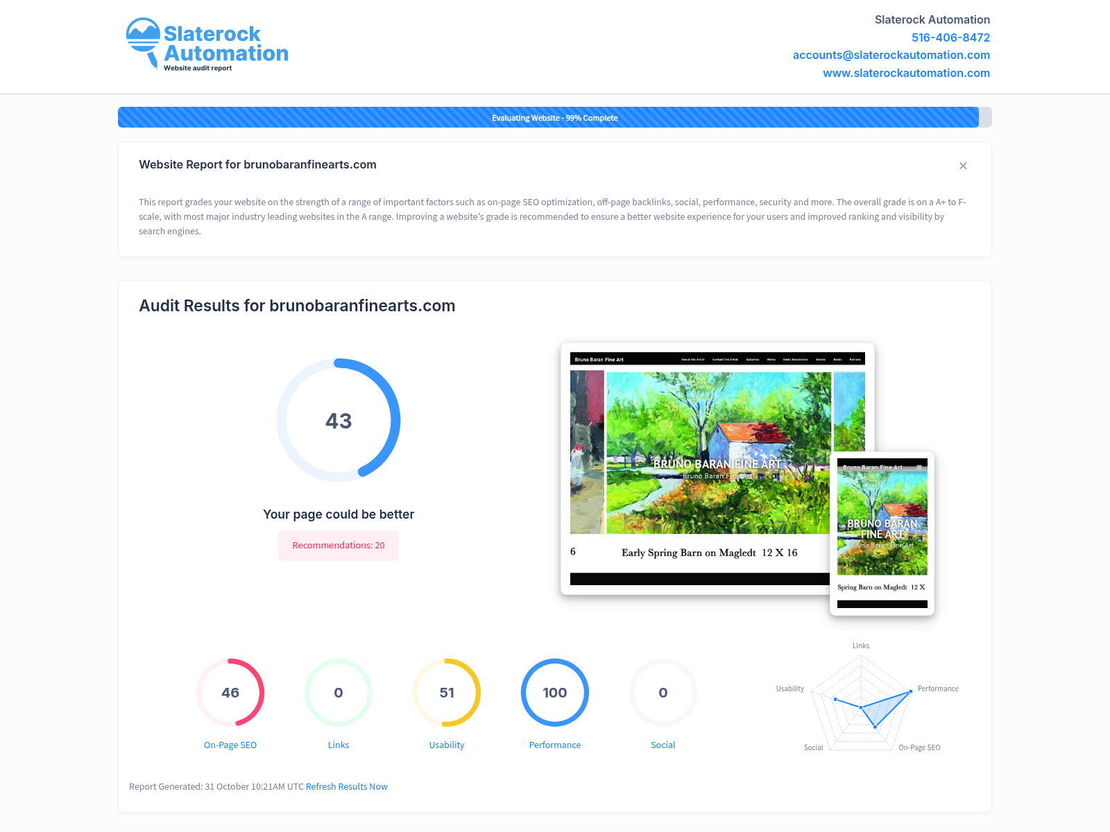 Screenshot of website audit showing digital performance metrics for Bruno Baran Fine Arts.