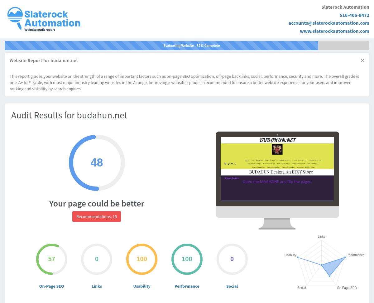 A screenshot of Budahun's website audit showing performance metrics and optimization insights.