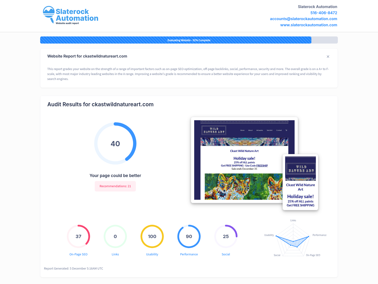 A website audit screenshot showcasing the user-friendly design and engaging art pieces of CKast Wild Nature Art in New York County.