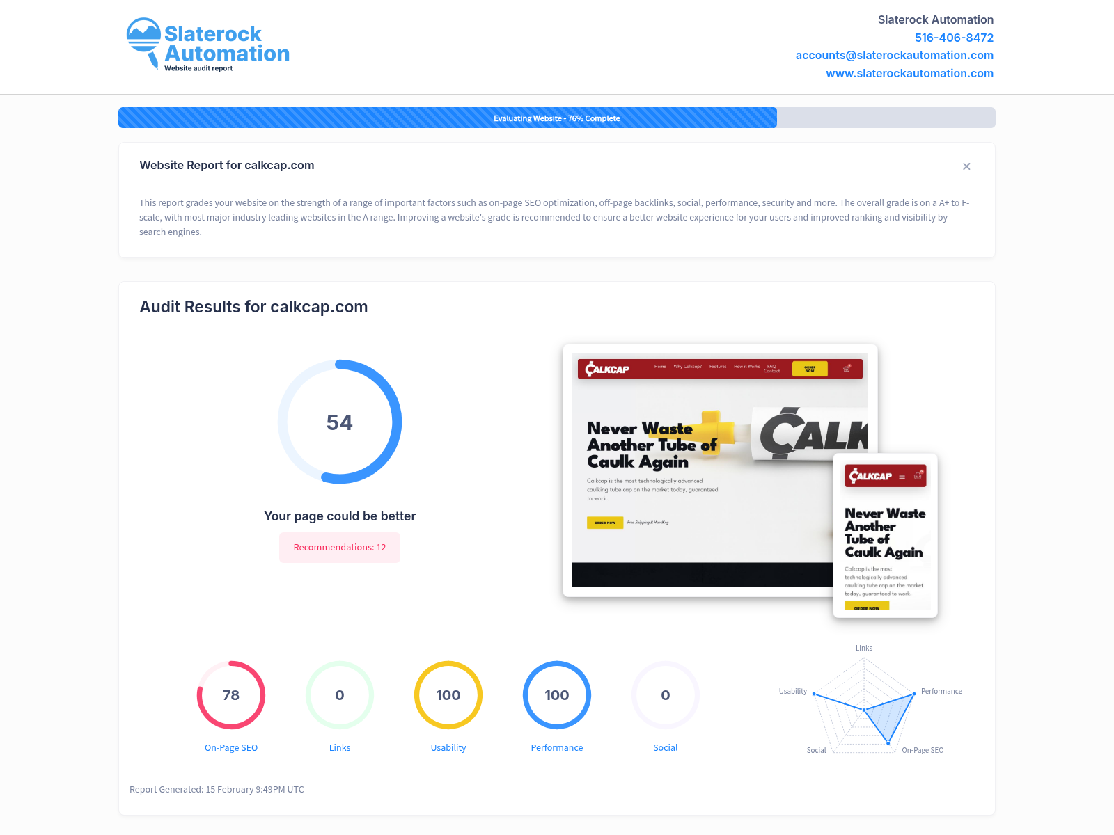 Screenshot of a website audit showcasing CalkCap's performance metrics and SEO optimization.