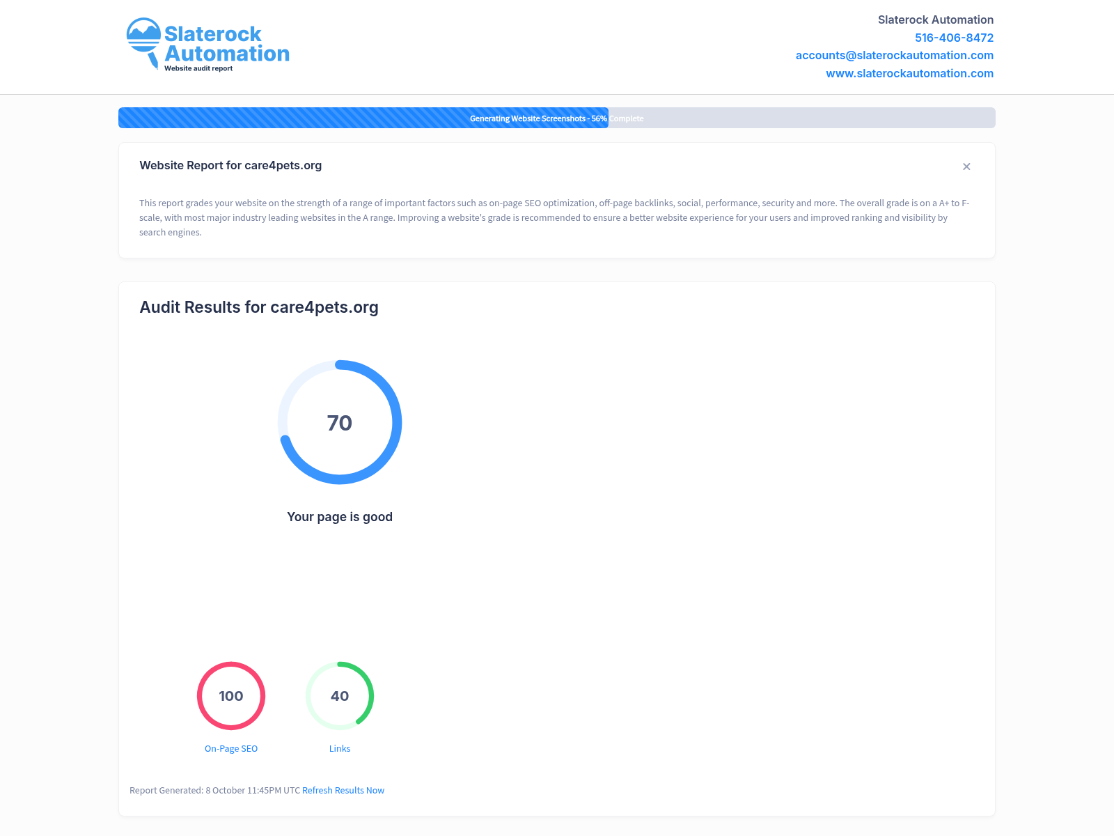 Screenshot of Care4Pets website audit showcasing performance metrics and SEO insights.