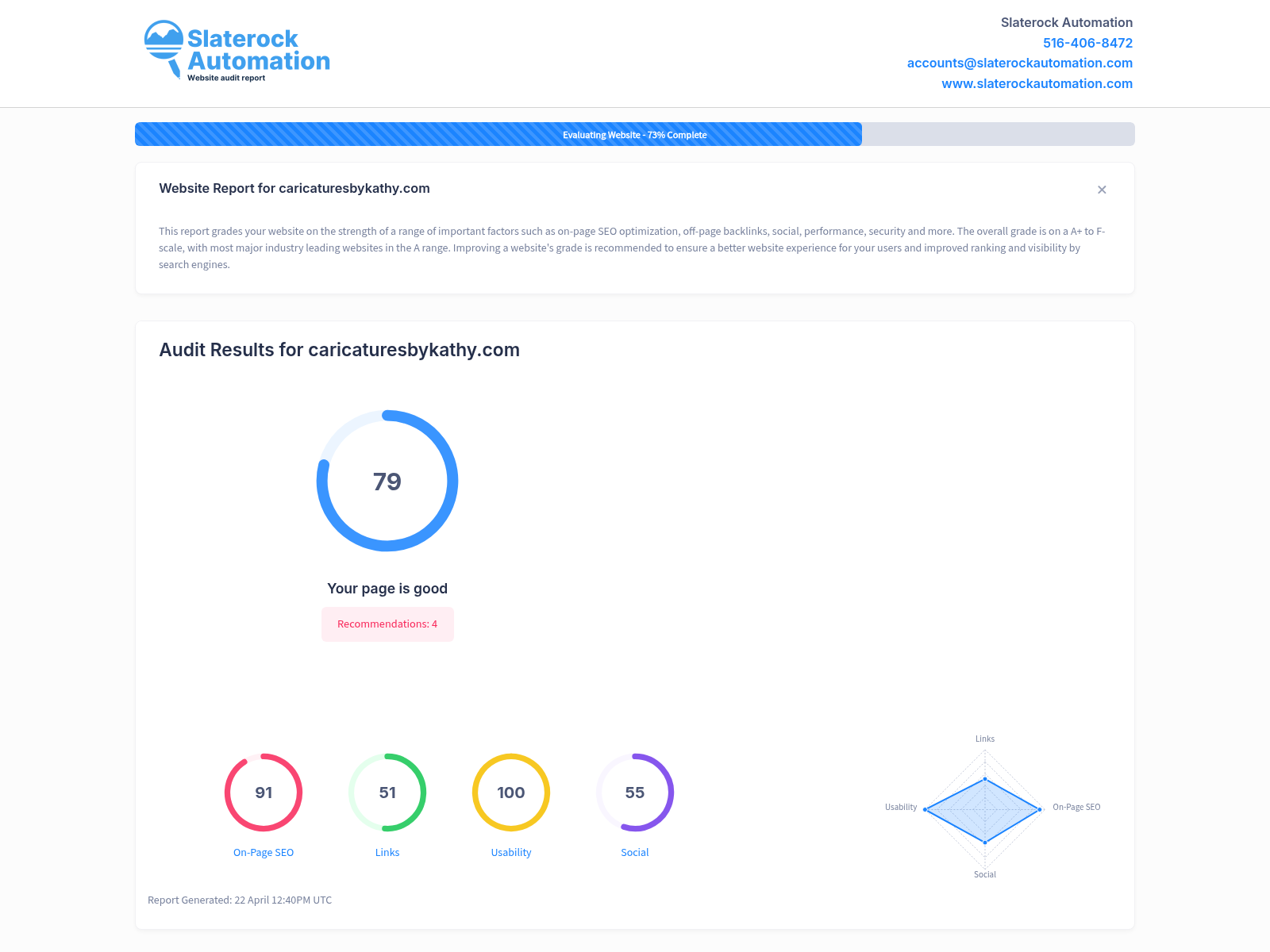 Screenshot of a website audit showcasing performance metrics for Caricatures by Kathy.