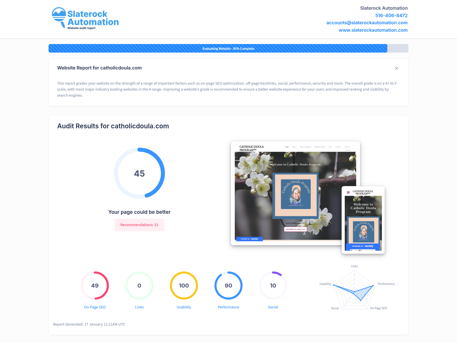 Website audit overview of Catholic Doula services and performance metrics.