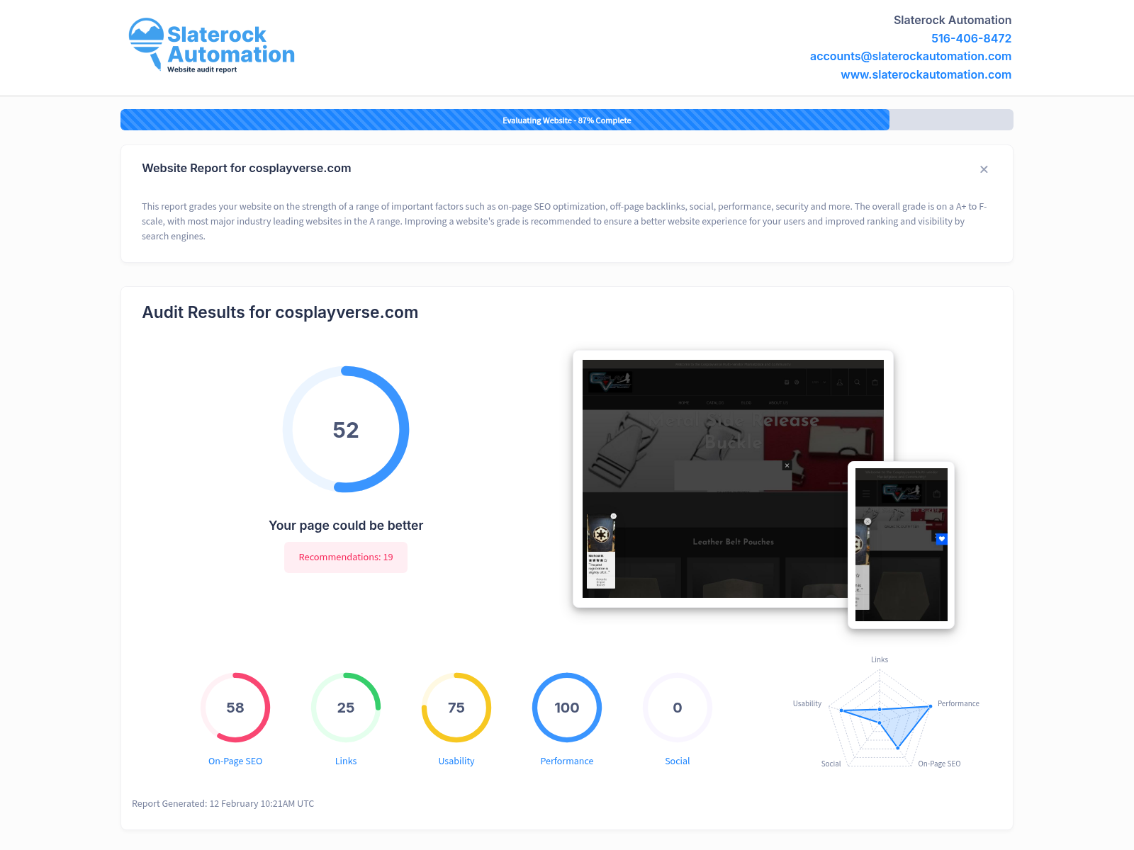 Screenshot of Cosplayverse website audit highlighting product variety and customer satisfaction.