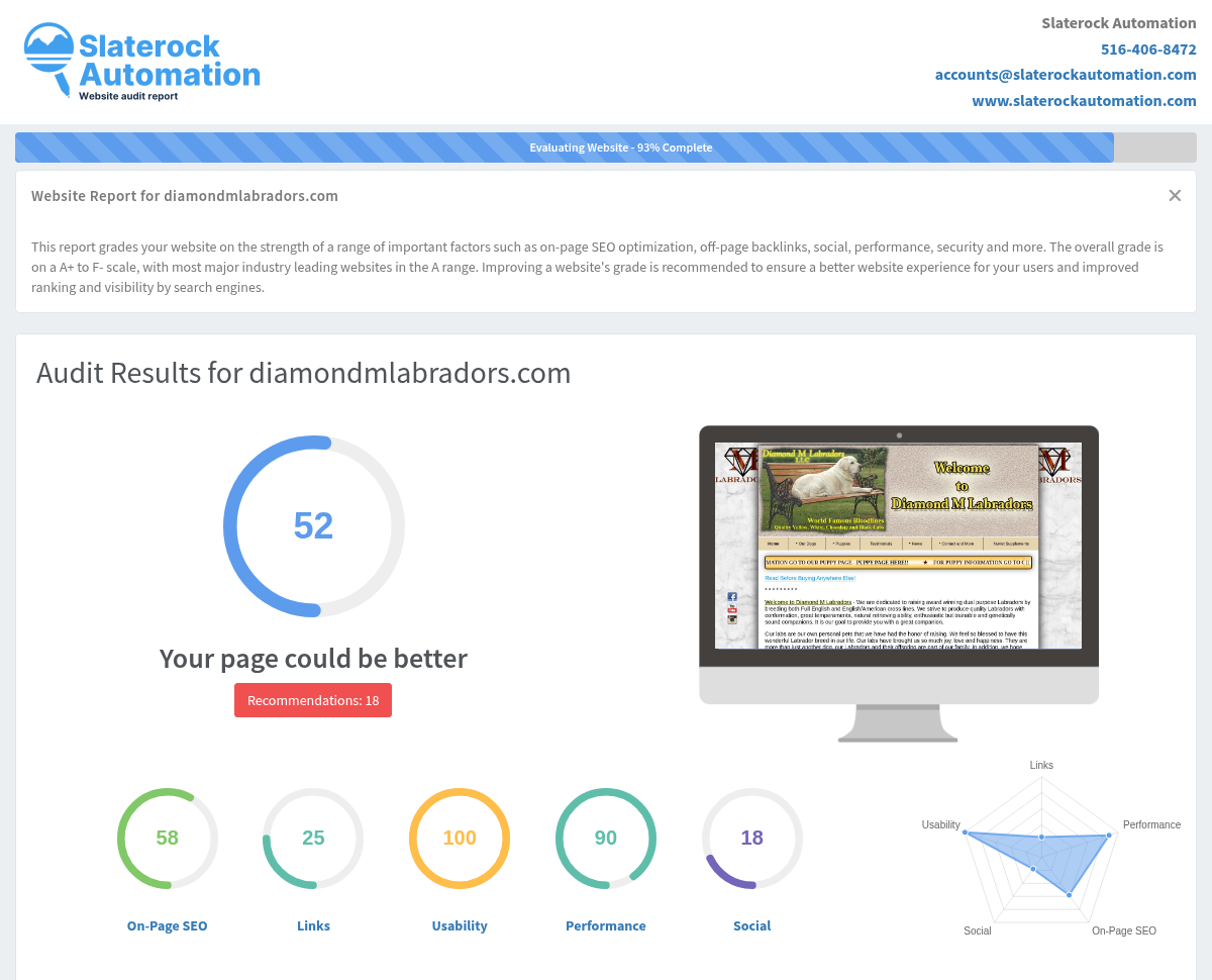 Screenshot of a website audit for Diamond M Labradors showcasing SEO metrics and site performance.