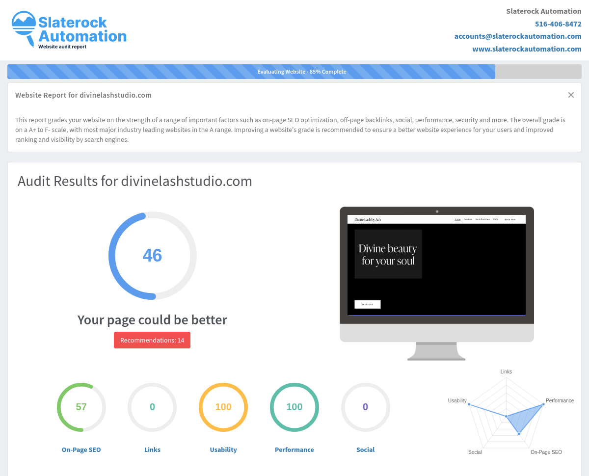 Website audit overview for Divine Lash by Ash including H1: Divine Lash by Ash Reviews: Pros, Cons, and Website analysis