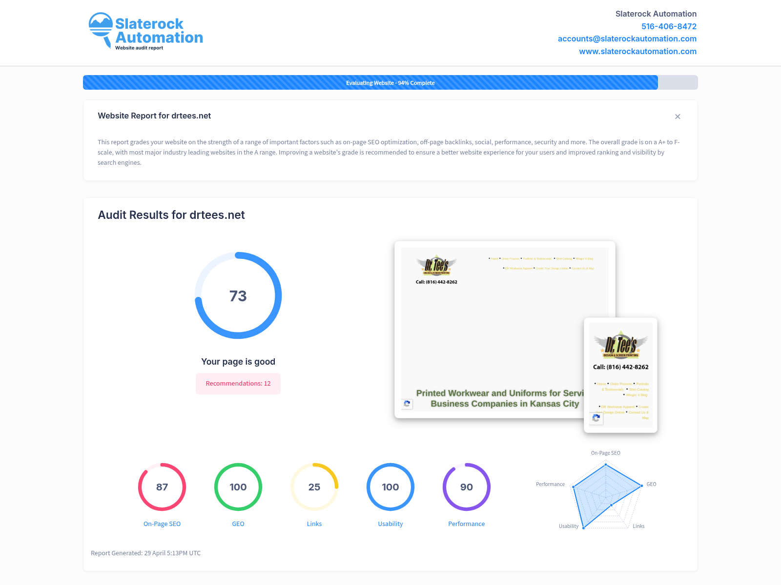 Screenshot of website audit results for Dr Tees