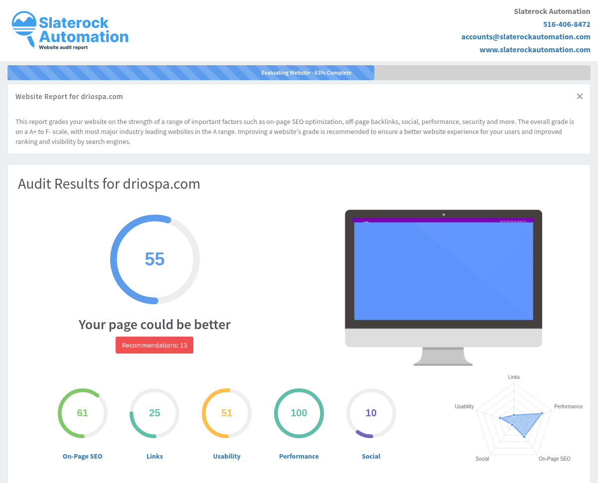 Screenshot of Drio Spa website audit highlighting services and customer satisfaction.