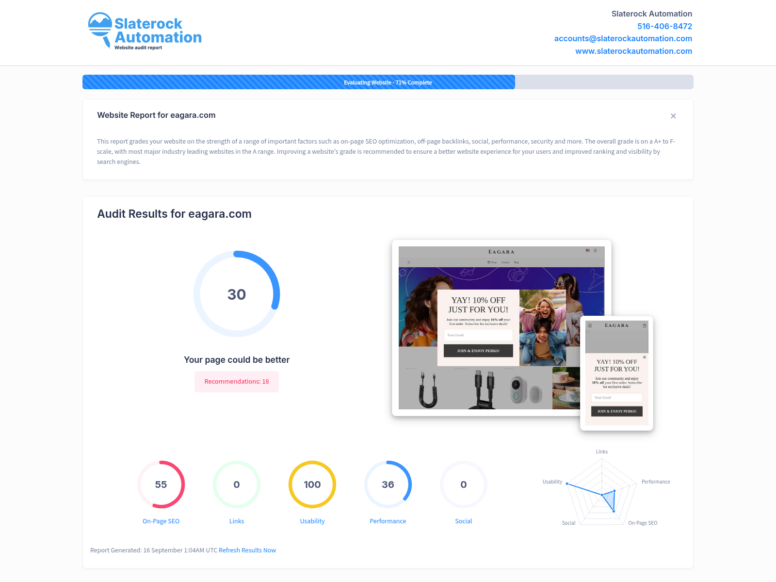Screenshot of Eagara's website audit showcasing website performance and SEO metrics.
