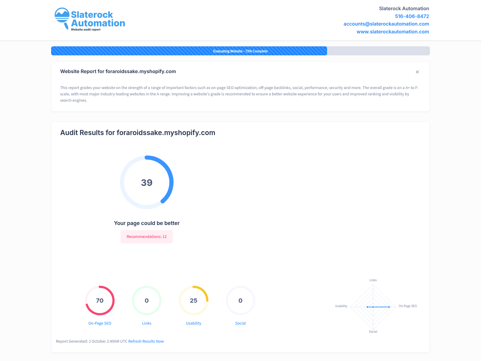 Screenshot of a website audit showcasing For a Roids Sake's performance and optimization features.