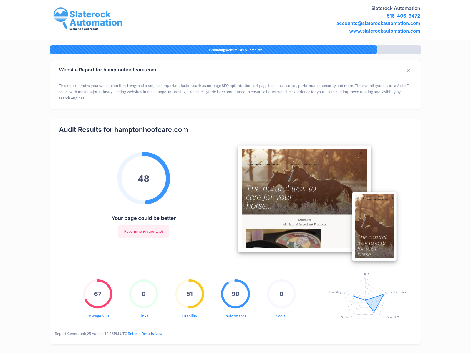Screenshot of website audit for Hampton Hoof Care showcasing performance metrics and SEO optimization.