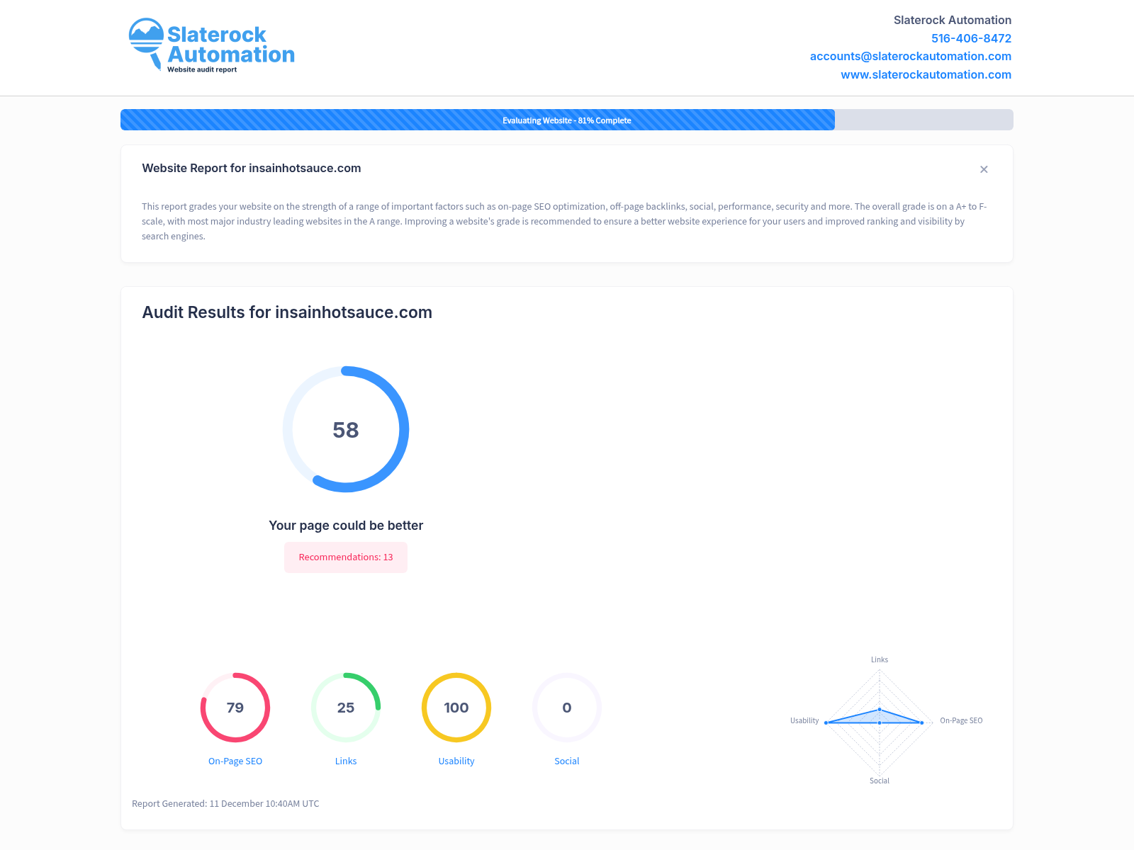 A screenshot displaying the results of a website audit for Insain Hot Sauce, highlighting SEO performance and key metrics.