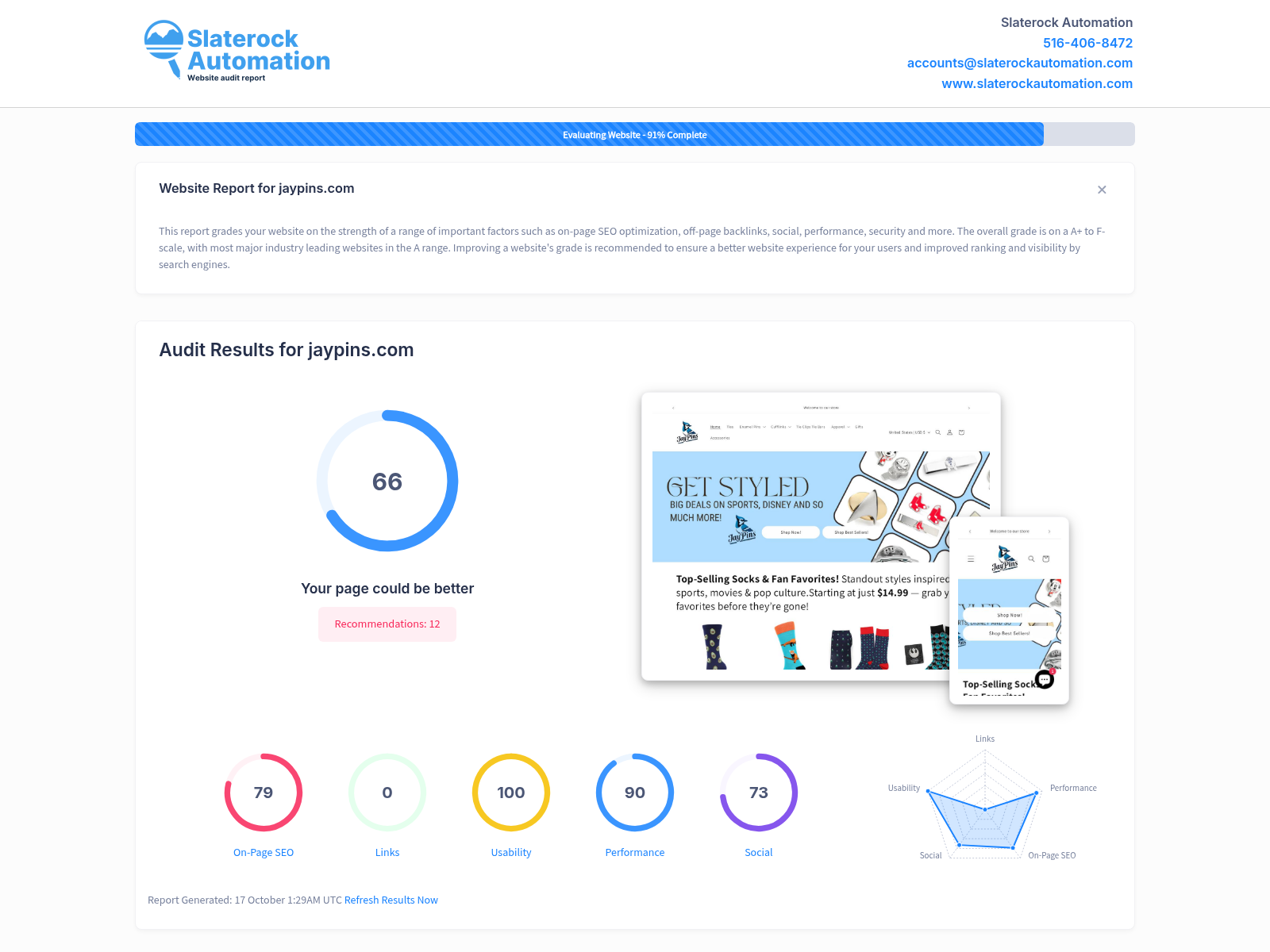 Screenshot showcasing Jaypins' website audit highlighting exceptional quality and customer satisfaction.