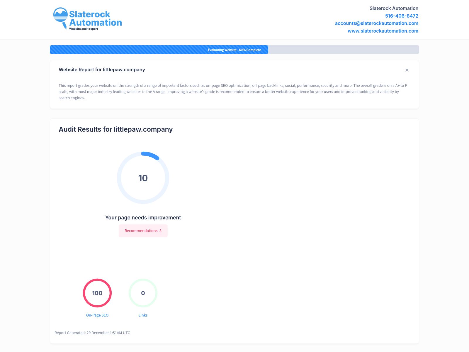 Screenshot of a website audit for Little Paw Company highlighting key metrics and areas of improvement.