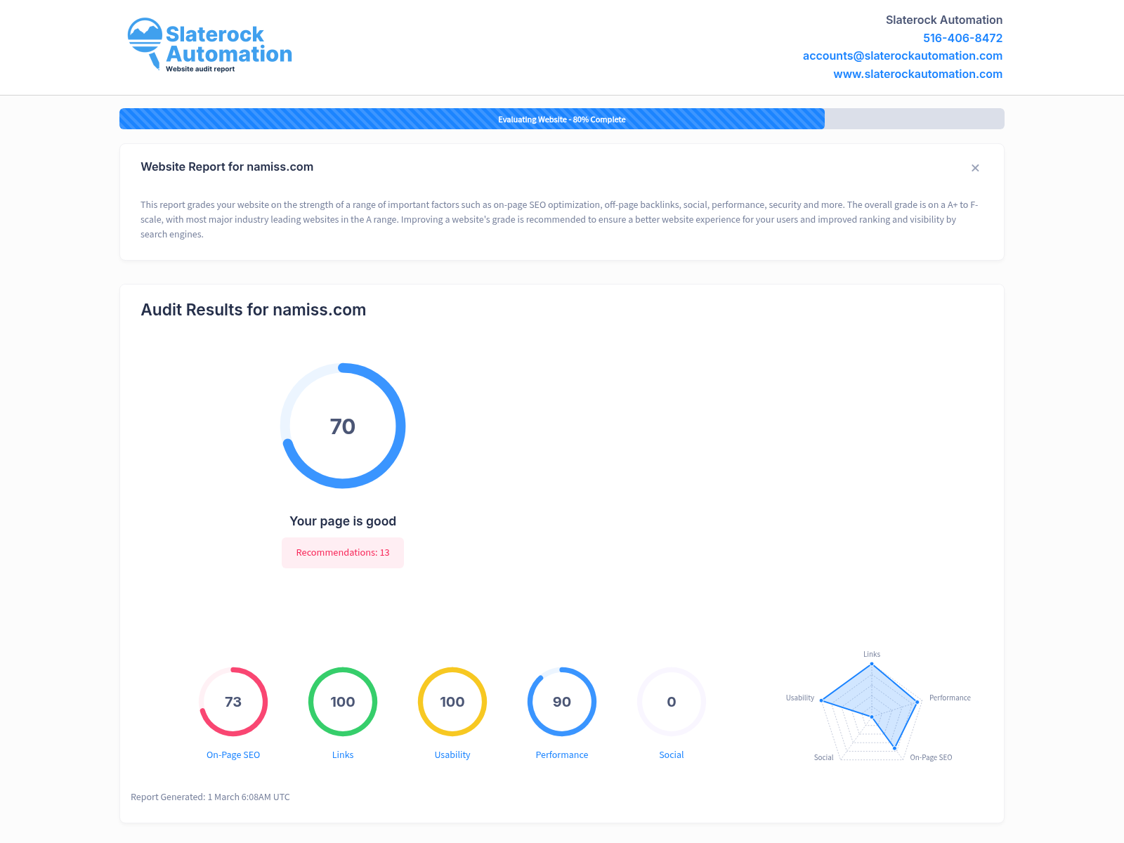 Screenshot of the Namiss website audit showcasing performance, SEO insights, and areas for improvement.