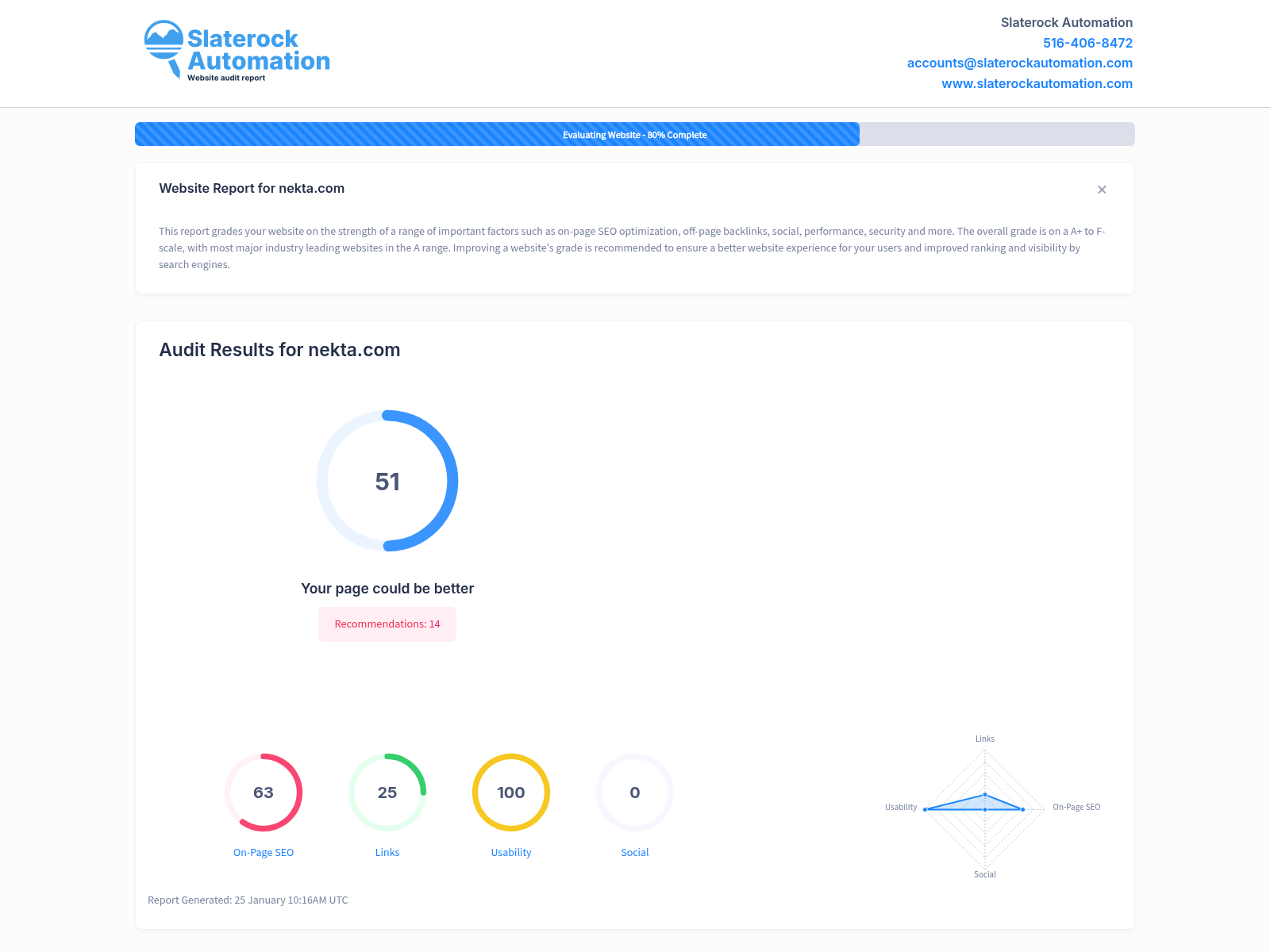 Screenshot of a comprehensive website audit for Nekta showcasing SEO health and optimization insights.
