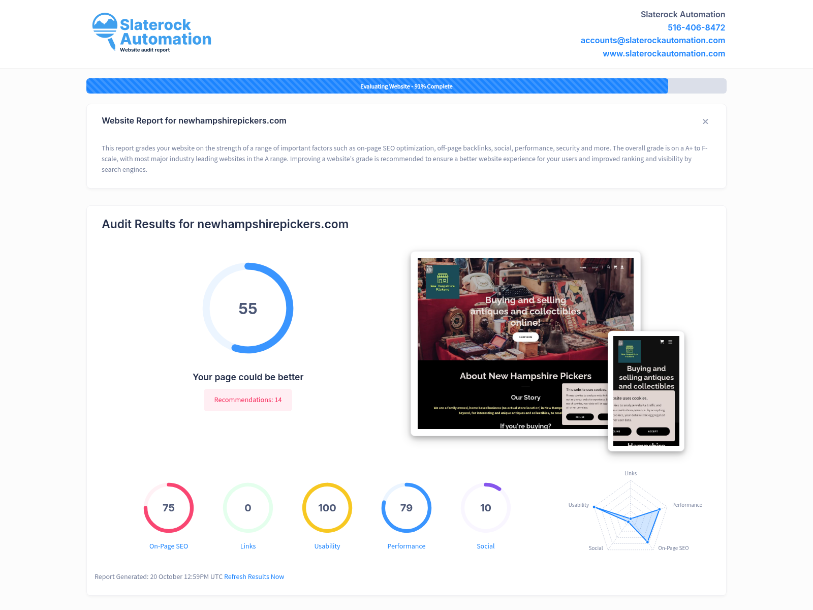 Screenshot of a website audit showcasing New Hampshire Pickers' online store and inventory.