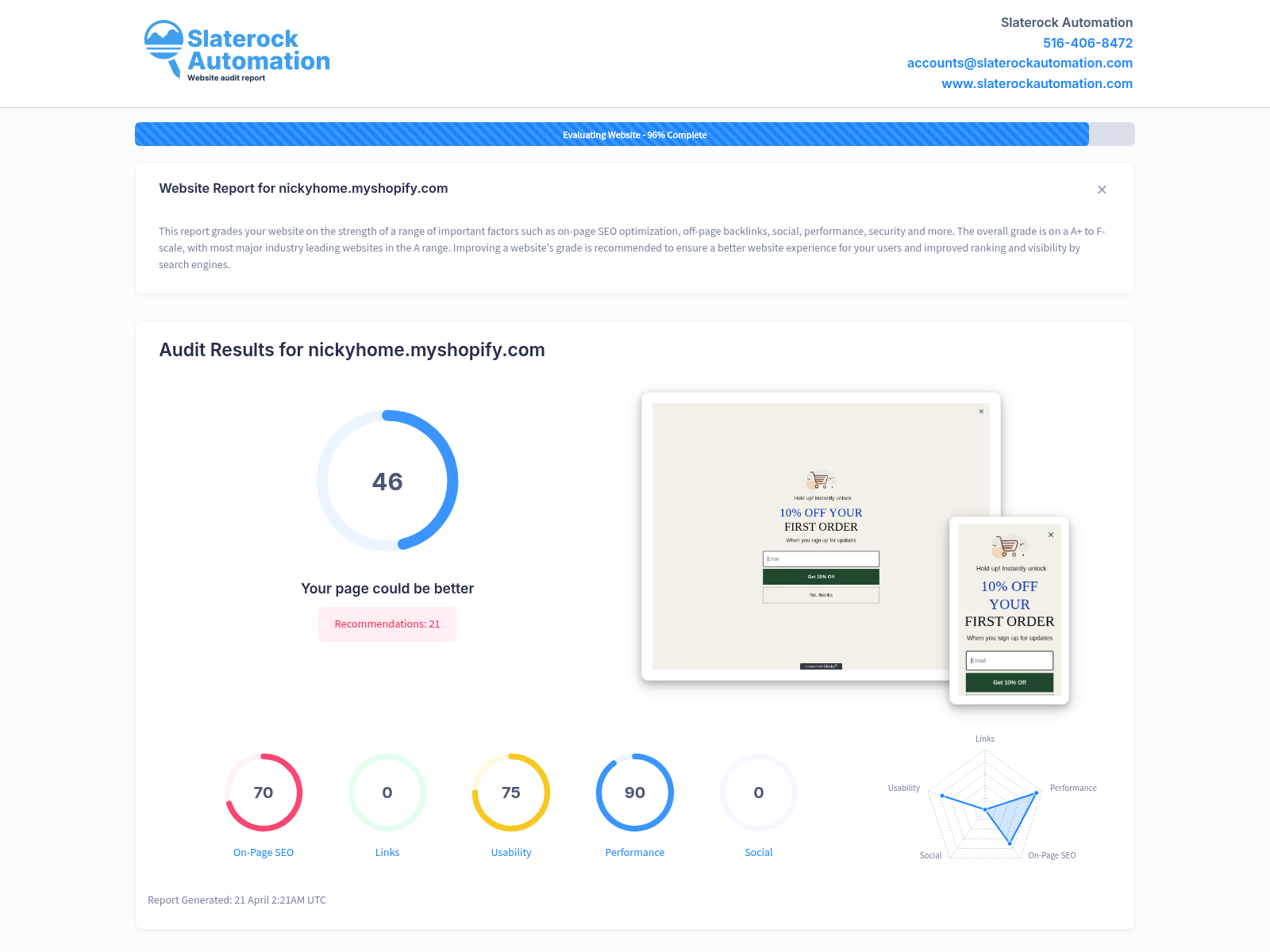 A screenshot of a thorough website audit showcasing Nicky Home's strong online presence and positive reviews.